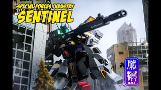 Special Forces Industries Sentinel Review and Unboxing [upl. by Naerad879]