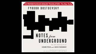 Notes From Underground  Full Audiobook [upl. by Aleira442]