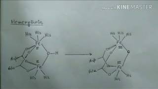 Bioinorganic chemistry part 3  hemeerythrin hemocyanin blue copper protein [upl. by Beatty122]