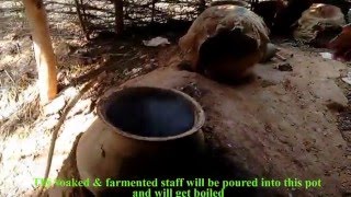 Mahua Alcoholic Beverage Preparation live from Brewery  A Short Documentary [upl. by Yehsa]