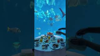 The real meaning of breakfast with a view At Atlantis the Palm dubaishorts [upl. by Allistir]