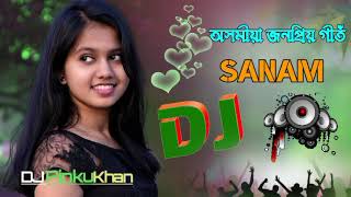 SANAM DJ SONG  BAGANIYA NEW DJREMIX SONG [upl. by Okime]