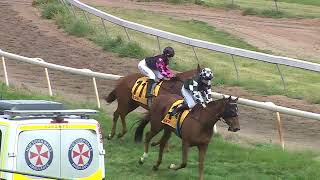 Mudgee 05 10 2024 Race 2 [upl. by Avlis831]