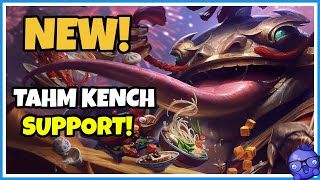 NEW Mini REWORK Upcoming Tahm Kench Changes Coming SOON  League of Legends Season 10 [upl. by Enytsirk]