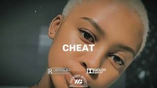 Omah Lay x Burna Boy x Bnxn x Afroswing  Afro Type beat 2024quot CHEAT [upl. by Laram]