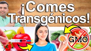 COMES TRANSGENICOS Y NO LO SABES  10 Alimentos Veneno Geneticamente Modificados Que Comes a Diario [upl. by Onitrof]