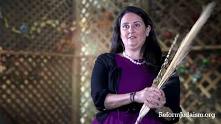 Sukkot How to Say the Blessings and Shake the Lulav [upl. by Cilka464]