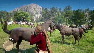 92 Horses Red Dead Redemption 2 [upl. by Buckley]