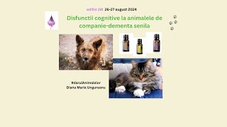 Editia18 Disfuncții cognitive la animalele de companiedementa senilapartea 1 [upl. by Leina]