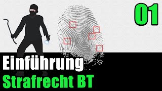 Strafrecht BT 01  Einführung [upl. by Chatav328]