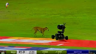 Dog Invades Cricket Field at LPL Finals Buggy Cam in Hot Pursuit🚔 [upl. by Patrick]