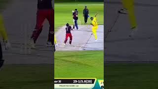 wicket bold cricket criclover shortvideo viralvideo [upl. by Alaek]