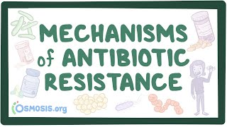 Mechanisms of antibiotic resistance [upl. by Ainitsirhc]