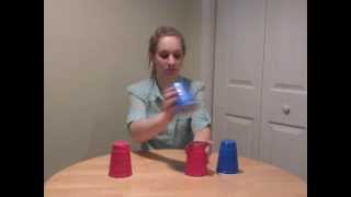 Cup song with 4 cups tutorial [upl. by Yllod]