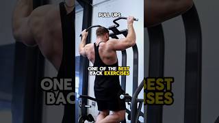 The best lat building exercises backworkout [upl. by Pederson]