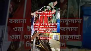 জীবনের সকল গুনাহ মাপের দোয়াislamicshortvideoviralshortshorts [upl. by Lahcym]