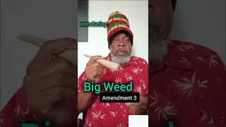 BIG WEED on Amendment 3 in Florida Uncle Howie as Mr Propa florida amendment3 bigweed [upl. by Areik]