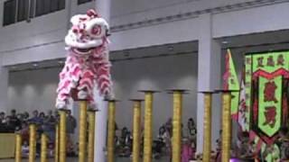 Chinese Lion Dance  Dangerous High Pedestals [upl. by Nymzaj158]