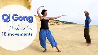 Qi Gong Shibashi 18 movements 18 Übungen [upl. by Tomlin]