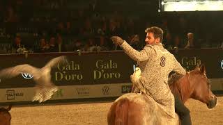 FIERACAVALLI 2019 Gala dOro quotDreamsquot [upl. by Ainirtac]