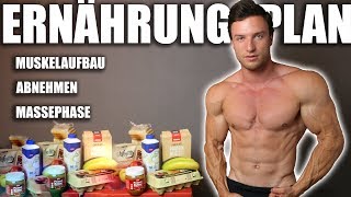 ERNÄHRUNG  So erreichst du deinen Traumkörper   Ernährungsplan und Supplements [upl. by Saiasi656]