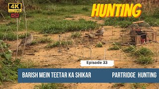 Barish Mein Shikar 👍 Teetar 💞 Francolin ♥️ Partridge 💗 Hunting ❣️ Awaaz 📣 Boli Episode 33 [upl. by Adora]