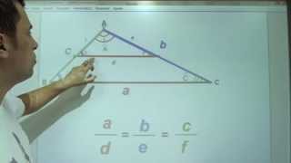 GEOMETRIA PLANA  TEOREMA DE TALES e SEMELHANÇA DE TRIÂNGULOS [upl. by Nivrek]