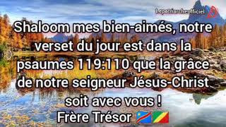 Verset du jour Psaumes 119110  Des méchants me tendent des pièges Et je ne mégare pas loin [upl. by Aerb]