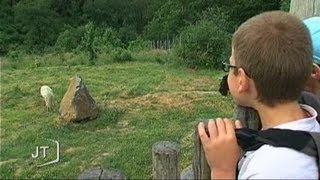 Sortie scolaire au NaturZoo de Mervent [upl. by Eelyrag485]