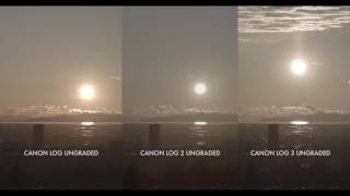 C300 Mark II Firmware Update SidebySide 4K Comparisons of Canon Log Canon Log 2 and Canon Log 3 [upl. by Karlyn]