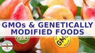 Genetically modified foods effects on human health  genetic modification of food pros and cons [upl. by Gnanmos806]