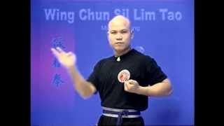 Wing Chun kung fu siu lim tao  form applications Lessons 210 [upl. by Post]