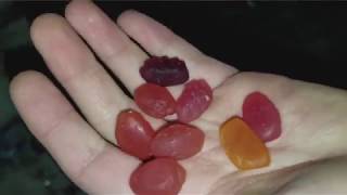 Welchs Fruit Snacks Review [upl. by Unders]