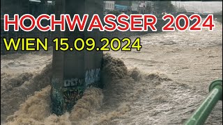 HOCHWASSER 2024  Naturgewalt trifft Wien [upl. by Gustafson]