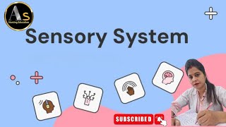 Sensory system l Sensory receptors l Sensory system anatomy l Sensory system in MBBS 1st year [upl. by Burkhardt]