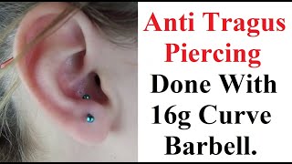 Anti Tragus Ear Piercing done with Curve Barbell [upl. by Ocker307]