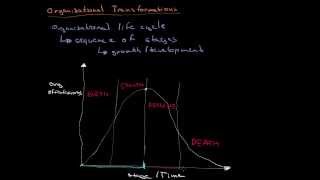 Organizational Life Cycle [upl. by Aicelet]