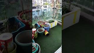 3600 sq 4 bed flat rent pr id 06231 Dhaka Bashundhara RA ৪ বেডে ফ্ল্যাট ভাড়া বসুন্ধরা [upl. by Addia994]