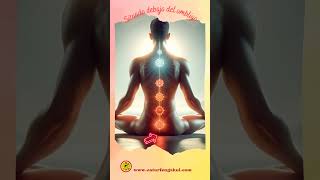 ☯️🎋 Primer Chackra o Mulhadara motivation amor fengshui proteccionenergetica yoga [upl. by Aneet974]