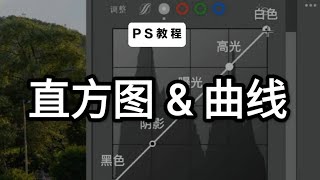 PS教程：直方圖amp曲線工具使用方法 photoshop 曝光陰影 平面設計 調色 [upl. by Erskine352]