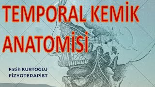 FTR  TEMPORAL KEMİK  Anatomi Kemik Konu Anlatımı14 [upl. by Asylem]