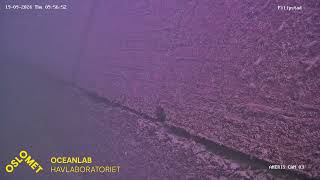 Live streaming OsloMet Oceanlab ANERIS low cost underwater camera observatory  Filipstad [upl. by Elayne]