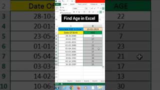 Calculate DOB in excel [upl. by Aisyram]