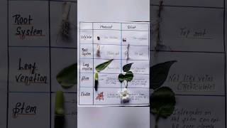 Identification of monocot and dicot plants easy shorts [upl. by Deevan]