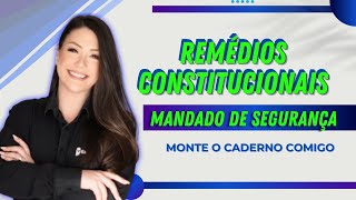 Remédios Constitucionais  Mandado de Segurança  Direito Constitucional  Adriane Fauth [upl. by Kohl]