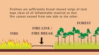 Fireline Clearing Burning and Maintenance for Protection of Forests and Plantations English [upl. by Iggem]