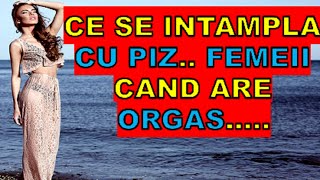 O vorbă a unui războinic este neschimbătoare și statornică precum aurul și oțelul [upl. by Coffee]