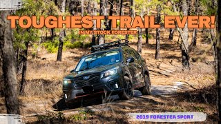 Toughest trail ever Lets take the Subaru Forester offroad and see what it can do [upl. by Chilt611]