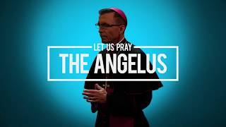 Pray  The Angelus with Bishop Reed [upl. by Iuq]