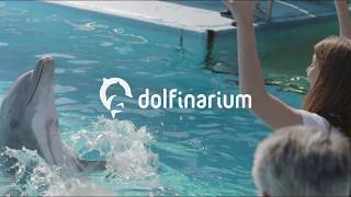 Dolfinarium  In het water met dolfijnen [upl. by Jarid85]